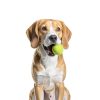 RERBIO Automatic Dog Ball Launcher Small Dogs Adjustable-3
