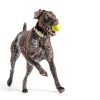 P&P Imports Dog Ball Launcher Ergonomic Grip Universal Balls-5