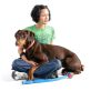 Chuckit Dog Ball Launcher Interactive Fetch Toy for Dogs-9