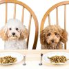 Patelai Stainless Steel Pet Food Spoon Dishwasher Safe-4