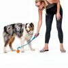 Chuckit Dog Ball Launcher Interactive Fetch Toy for Dogs-5