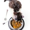 Patelai Stainless Steel Pet Food Spoon Dishwasher Safe-5