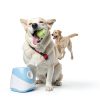 RERBIO Automatic Dog Ball Launcher Interactive Toy with-4