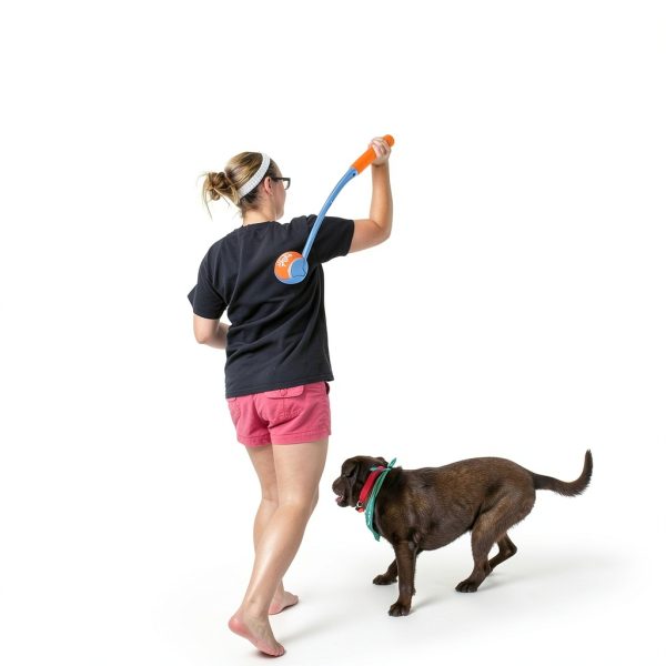 Dog Ball Launcher ALL FOR PAWS Ergonomic Grip Hands Free-1