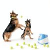 RERBIO Automatic Dog Ball Launcher Interactive Toy with-6