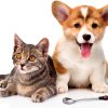 Patelai Stainless Steel Pet Food Spoon Dishwasher Safe-6