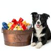 BREKX Metal Dog Toy Basket Rustic Paw Print Storage-4