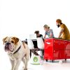 Atangee Automatic Dog Ball Thrower Launcher-3