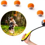 Dog Ball Launcher PAWISE Portable Lightweight Toy-0