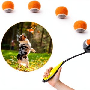 Dog Ball Launcher PAWISE Portable Lightweight Toy-0