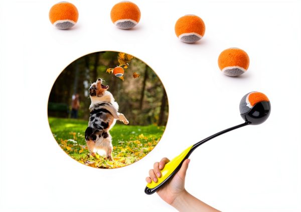 Dog Ball Launcher PAWISE Portable Lightweight Toy-0