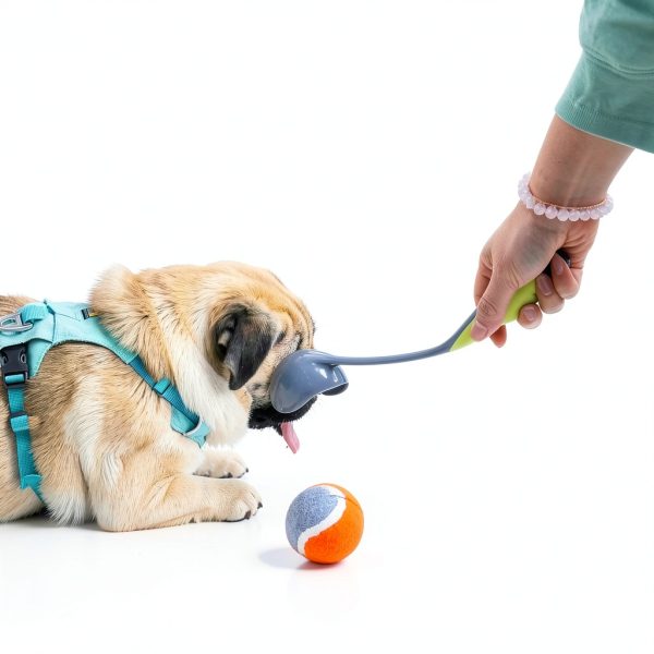 Dog Ball Launcher PAWISE Portable Lightweight Toy-2