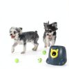 Automatic Dog Ball Launcher by-5