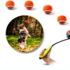 Dog Ball Launcher PAWISE Portable Lightweight Toy-6