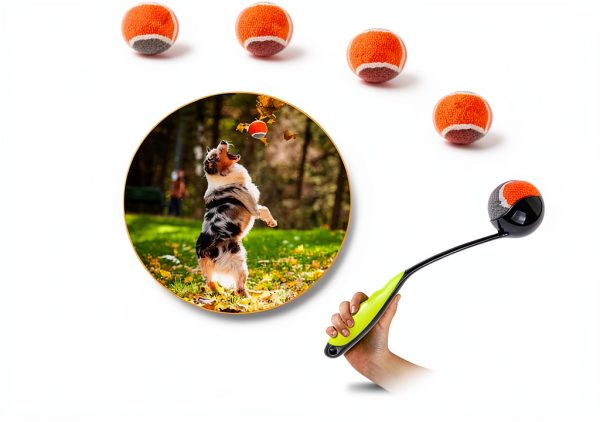 Dog Ball Launcher PAWISE Portable Lightweight Toy-6