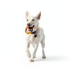 Chuckit! Ultra Ring Dog Toy Ball Launcher-4