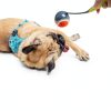 Dog Ball Launcher PAWISE Portable Lightweight Toy-4