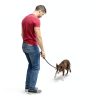Dog Ball Launcher Franklin Pet Supply Grip-7