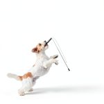 iDogmate Mini Tennis Balls Dog Toy Durable Rubber-0