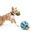 Dog Ball Launcher by SIMMOUDE Pet Supplies-3