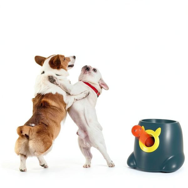 Automatic Dog Ball Launcher by-6