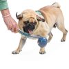 Dog Ball Launcher PAWISE Portable Lightweight Toy-5